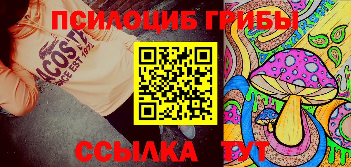 Галлюциногенные грибы Magic Shrooms  Вход с VPN  Ногинск  Галлюциногенные грибы прущие грибы 