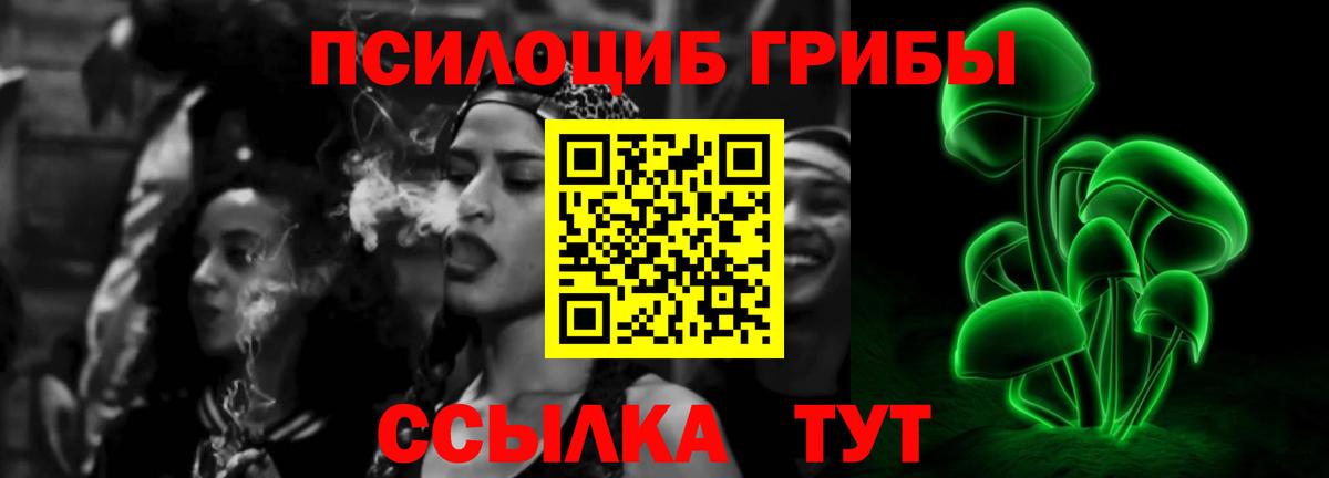 Псилоцибиновые грибы Cubensis Ногинск